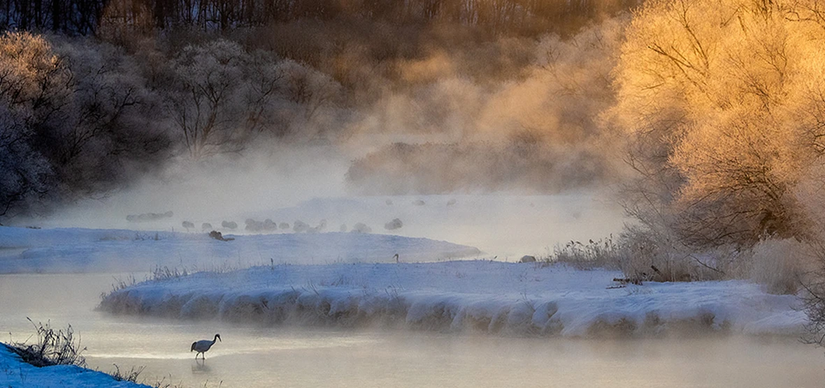 slider_hokkaido